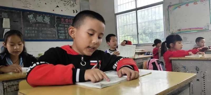 【善行助教】用生命中的7天，照耀向阳而生的花儿