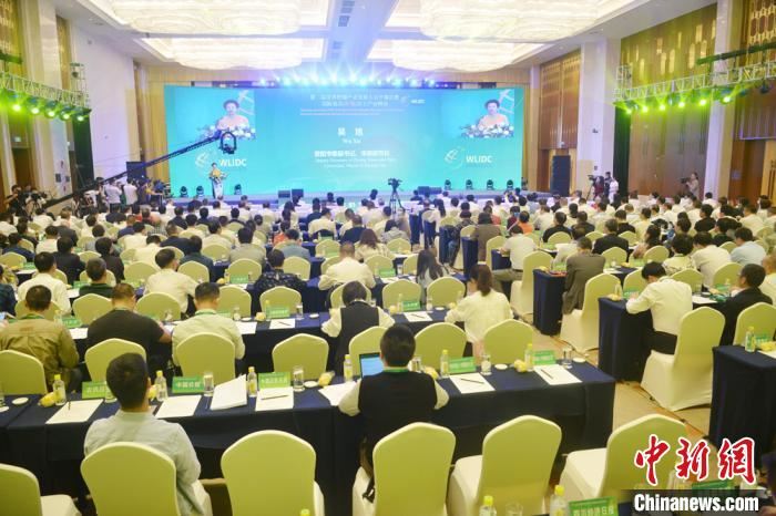 “小柠檬”连接海内外 全球柠檬行业大咖齐聚资阳盛会