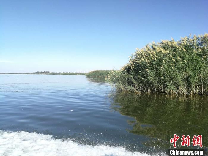 中国第八大淡水湖乌梁素海打破专家“10至20年消失”预测