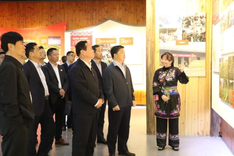 国家开发银行欧阳卫民行长考察指导南粤基金十八洞村田园综合体建设