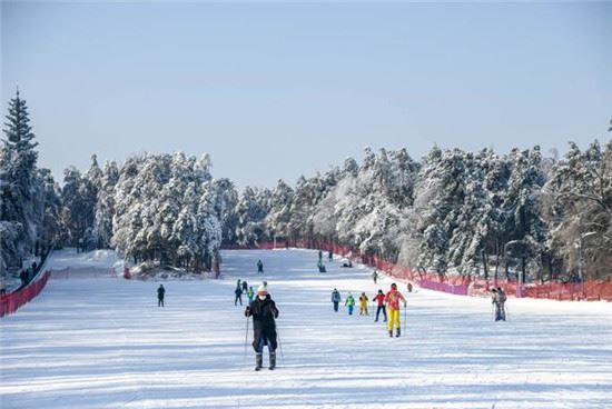 长春净月潭滑雪场开板：雪淞雾凇间穿行感受“梦境般”乐趣