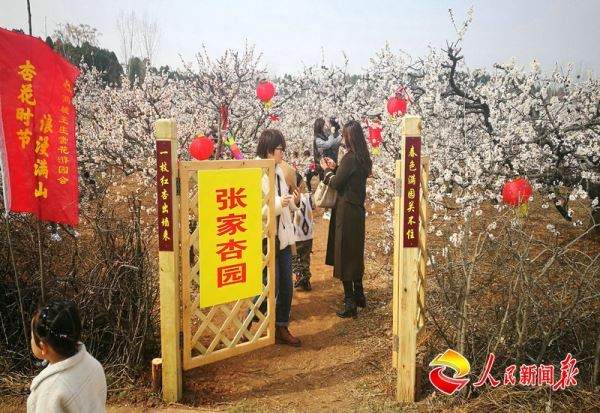 以花会友促发展，乡村振兴谱新篇 微山县两城镇王庄村赏花游园会开幕