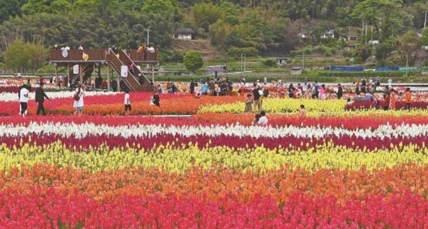 生态美三元 | 岩下花海等客来