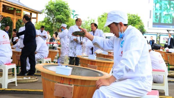 四川旺苍百亿茶产业链助力乡村振兴