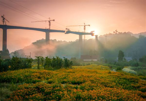 大田的铁路和花海
