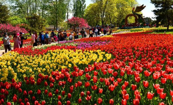 中国将在北京设立国家植物园