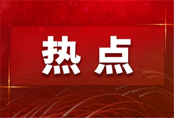 【问答二十大】中共组织体系的这三大机构是如何运转的？