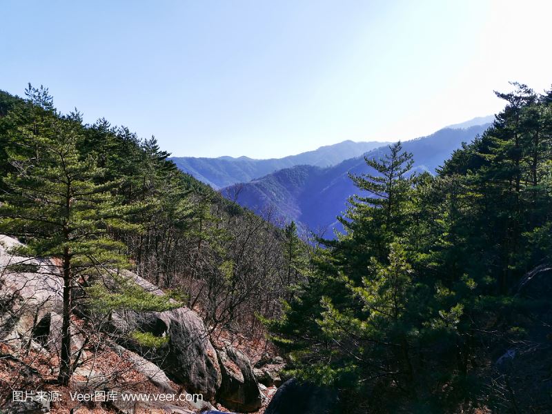 韩国干燥天气持续 多地发生山林火灾