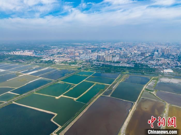 山西运城盐湖文旅风起：烹调一粒盐的万般滋味