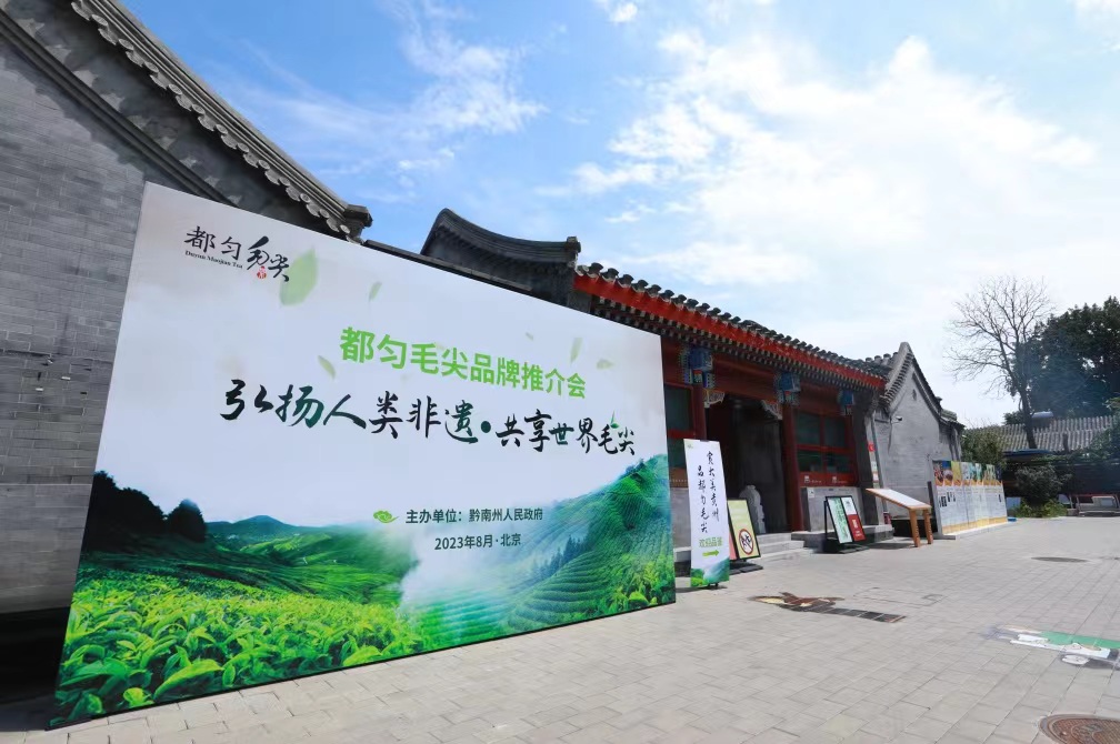In the name of Intangible Cultural Heritage (ICH), highlight the brand of Duyun Mao Jian tea