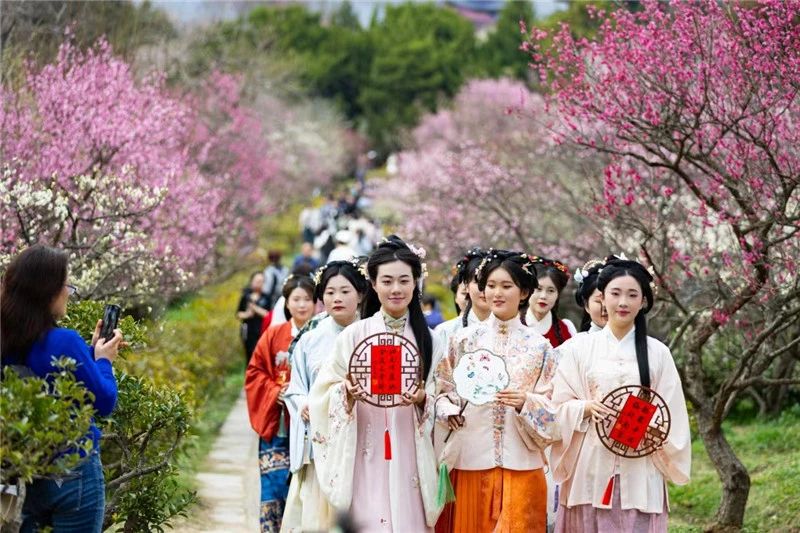 第28届南京国际梅花节开幕，6条定制赏梅线路等您同游共赏