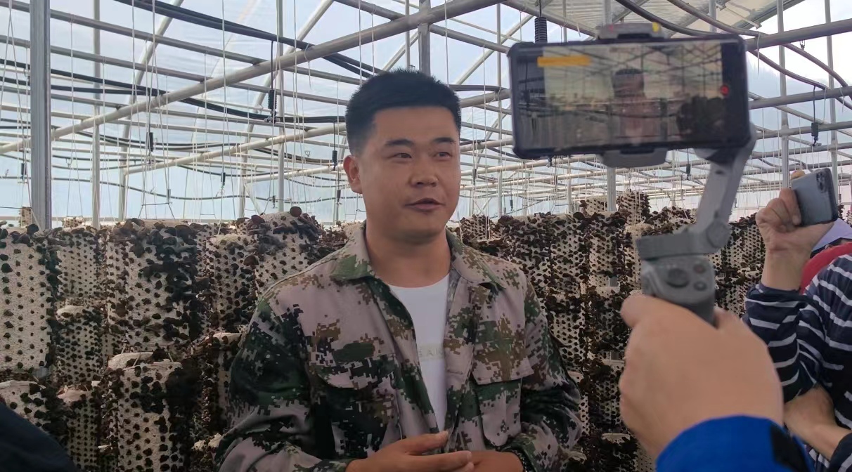 华媒甘肃行——探访卓尼大峪沟当地的食用菌产业