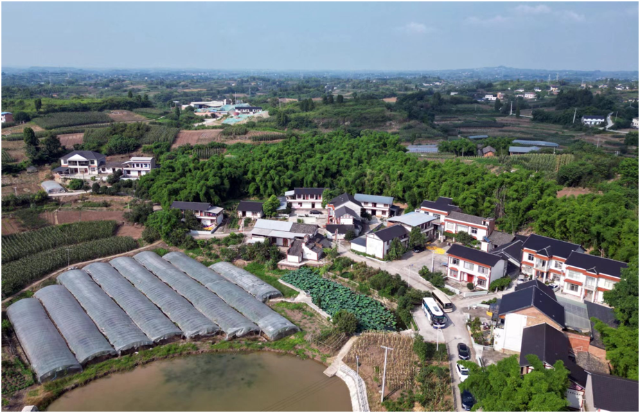 多措并举促发展，全力推动乡村振兴 向前迈进          ——记四川省内江市乡村振兴发展之路      