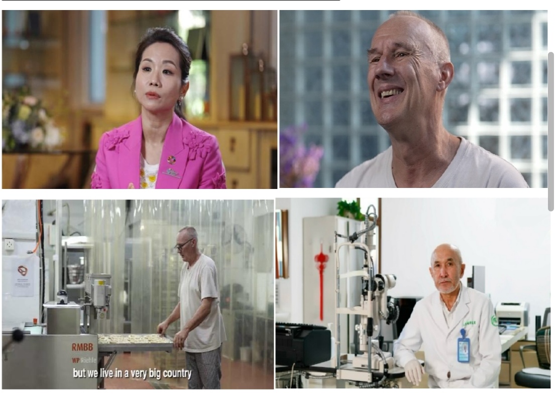 中国电视-《我在中国的成功故事》