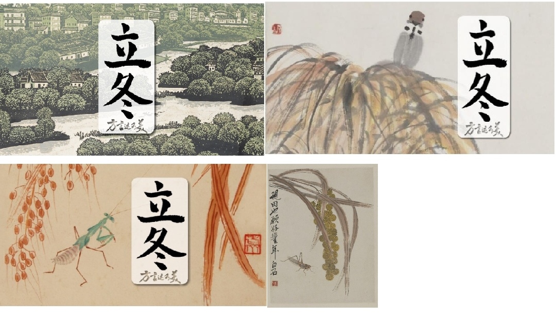 中国电视-《方言这么美》：立冬∣晚稻收割忙，“丰”景美如画