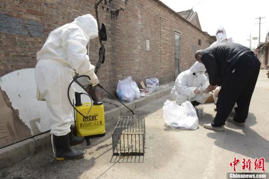 中国将与世卫组织联合评估H7N9疫情
