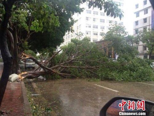 “天兔”来势汹汹 汕头海湾和礐石两大桥封闭
