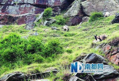 广东阳江商人20年前承包荒岛 政府今称合同无效