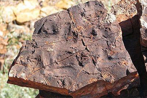 美科学家发现地球最古老生命体 恶臭难闻(图)