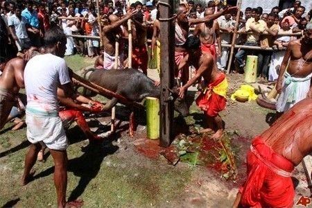 印度一女子祭祀时突遭斩首 头颅用于献祭(图)