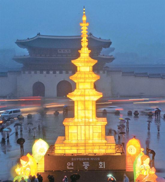 照亮世界的慈悲之光