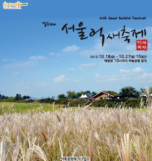 2013韩国首尔第12届天空公园紫芒庆典