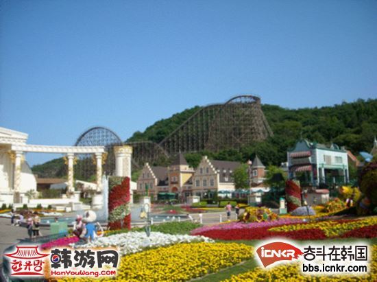 韩国京畿道漂亮的金秋景观吸引着众多中国游客前往