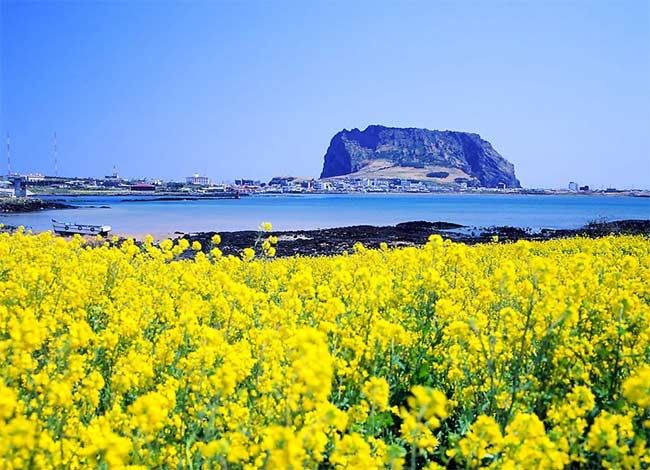 韩国济州岛入选全球十大免签绝美海岛