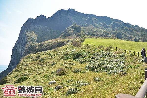 3月2日开始重庆游客可以搭乘大韩航空直飞韩国济州岛