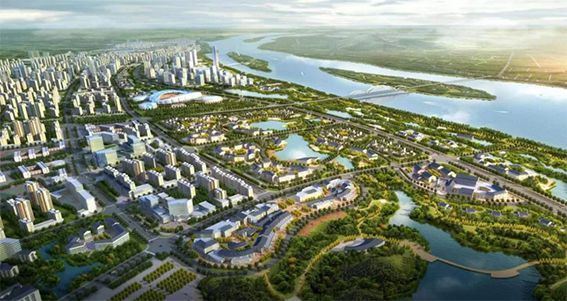 打造国内一流人才高地 望城谋划“赶超跨越”大棋局