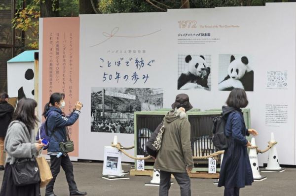日本庆祝大熊猫赴日50周年：东京开通熊猫电车 七旬饲养员忆当年游客排队盛况