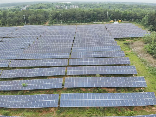 State Grid Jinxian County Power Supply Company: Serving Agricultural Photovoltaic Complementary Faci