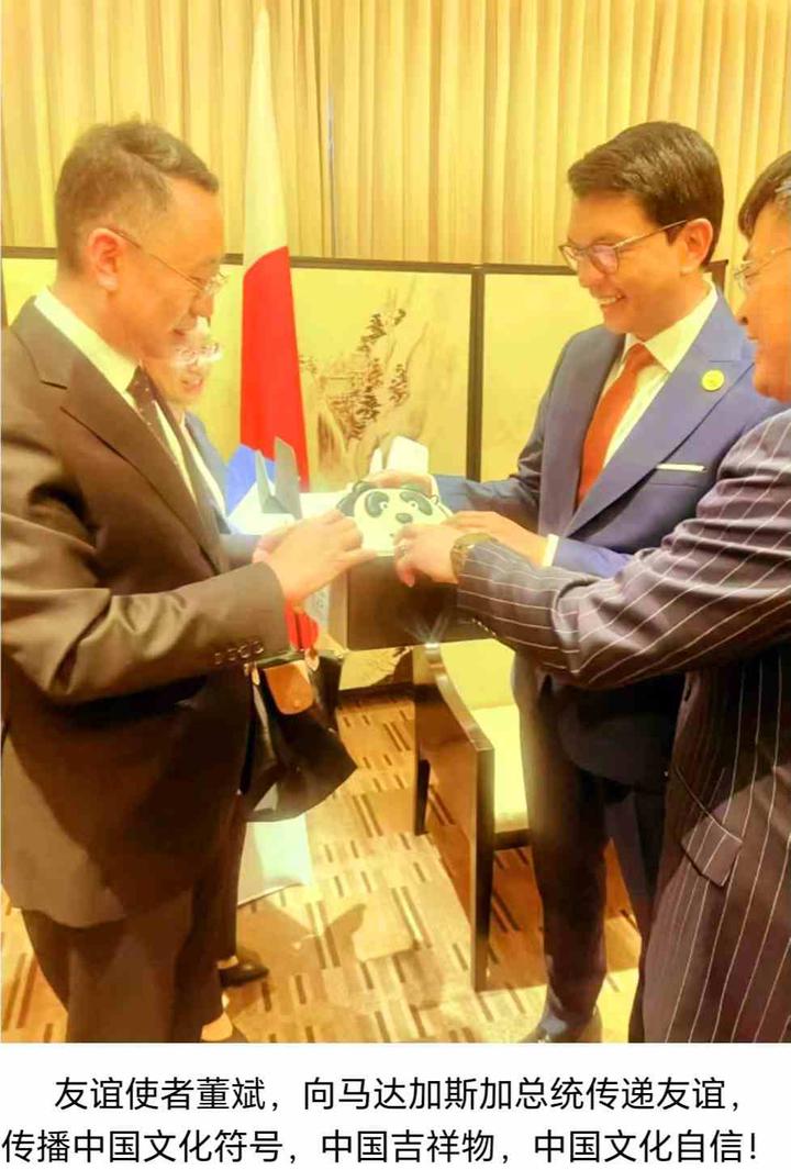 友谊使者董斌 架起国际友谊桥梁向马达加斯加总统传递友谊