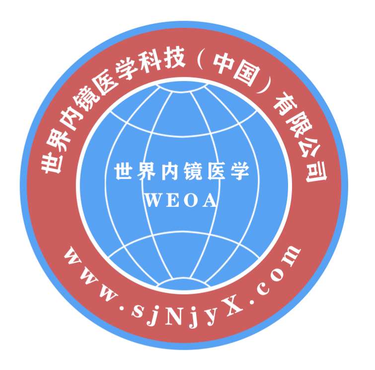 世界内镜医学科技（中国）有限公司：聚集医学科技、共创人类健康