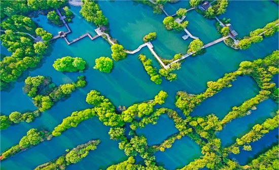 湿地――美丽杭州的独特标识