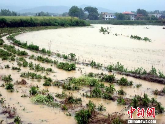 暴雨致江西彭泽近万人受灾480人连夜转移(图)