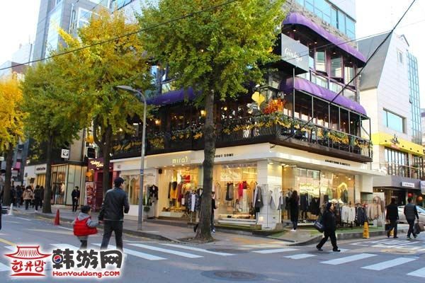 韩国新沙洞林荫树路