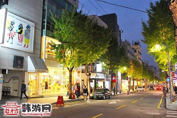 韩国新沙洞林荫树路