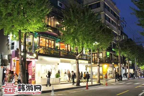 韩国新沙洞林荫树路
