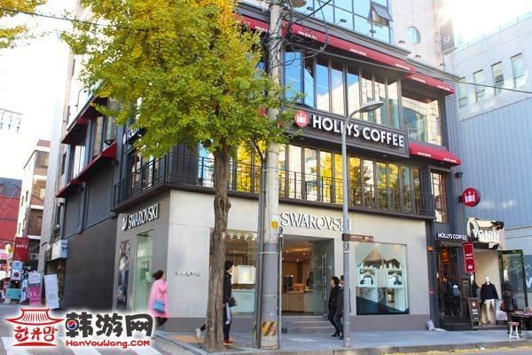 韩国新沙洞林荫树路