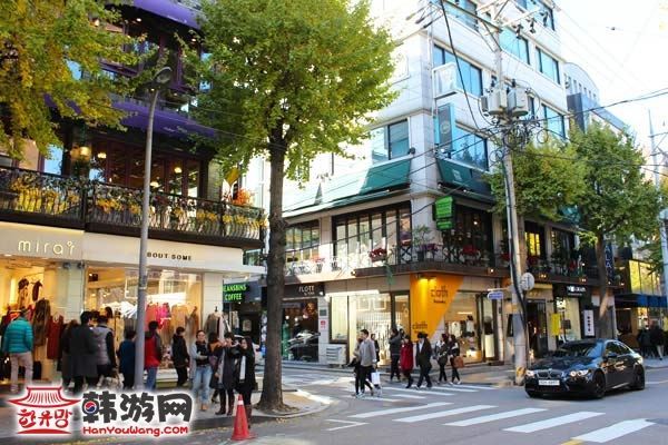 韩国新沙洞林荫树路