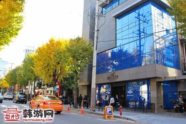 韩国新沙洞林荫树路