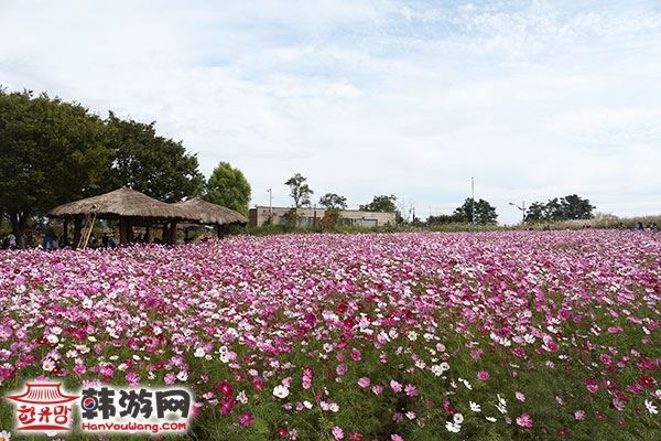 韩国蓝天公园16