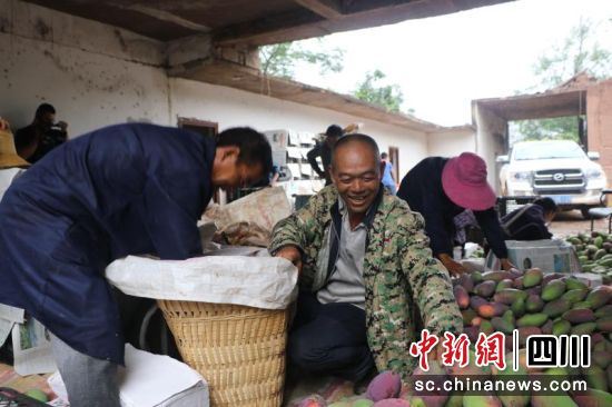 会东县发展特色产业带动农民致富。(会东县委宣传部供图) 会东县发展特色产业带动农民致富。(会东县委宣传部供图)